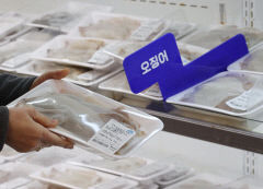 사라진 동해 오징어에…당정 