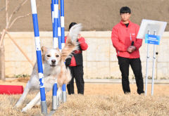 7일 대구경북 대체로 맑고 기온 올라…낮 최고기온 9~13℃