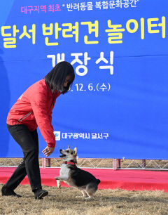 대구 1호 반려견 전용 놀이터