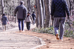 [포토뉴스] 포근한 날씨에 맨발 걷기 즐기는 시민들