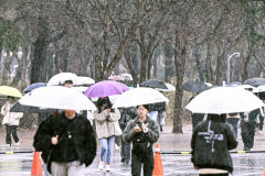 12일 대구경북 오전까지 비 소식…낮 최고기온 8~12℃