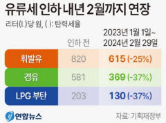 유류세 인하 내년 2월까지 연장