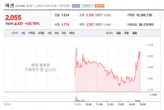베셀, 거래정지 풀리자 다시 껑충