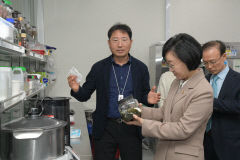 새해부터 '소비기한' 표시 제도 시행…우유 등은 유예제품