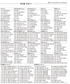 1월2일(화) 케이블·위성TV 편성표