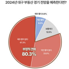 대구 부동산 전문가 56.3% 