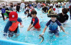 경북도, '봉화 은어' '청송 사과' 등 2024~2025 지정 축제 14개 선정
