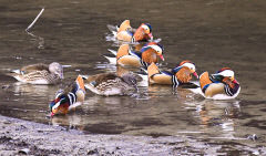 12일 대구경북은 가끔 구름많다가 오전부터 맑아…낮 최고기온 4~10℃