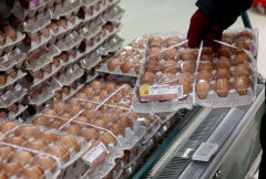 정부, 설 성수기 계란 30% 할인… 공급 부족 시 수입 확대