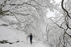 [포토뉴스]  눈이 와서 산을 찾았어요