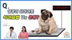 [반.전.남2] 반려동물 다이어트 식이요법 Vs 운동?