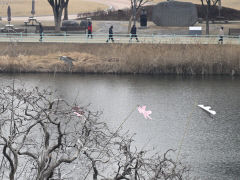 7일 대구경북 대체로 흐려…낮 최고기온 4~8℃