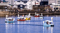설 연휴 끝난 첫날 대구경북 대체로 맑고 포근…낮 최고기온 14~19℃