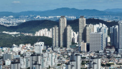 답안보이는 '수도권 쏠림'…인구·취업자수·기업체 절반 이상 넘어