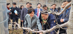 농림부 장관, 영주 '열풍방산팬 시범 사업' 현장 방문