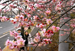 28일 대구경북 가끔 구름 많고 기온은 평년과 비슷…낮 최고기온 9~12℃