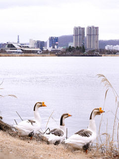 대구경북 비롯한 전국에 꽃샘추위 이어…오전 기준 대구 -4.7℃