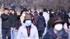 [내일 날씨] 8일 대구경북 맑지만 일교차 커…낮 최고기온은 5~10℃