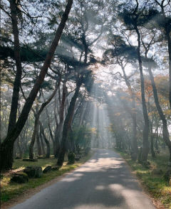 [동네뉴스] 머리털 나고 처음 고향을 떠나다…귀촌 생활일지