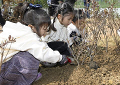 [포토뉴스] 나무 심는 고사리손 