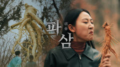 '파묘' 아닌 '파삼'?…영주시 패러디 홍보영상