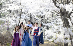 [포토뉴스] 한복 입고 벚꽃놀이하는 계명대 유학생들