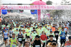 경주서 1만2천500명 벚꽃 레이스 펼친다…6일 보문관광단지 일원