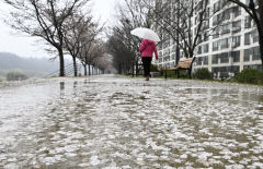 3일 대구경북 비오고 강풍…낮 최고기온은 11~16℃