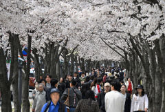 4일 대구경북 흐림…낮 최고기온은 12~17℃