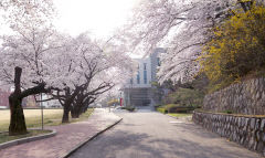 경북전문대, 봄맞이 벚꽃캠퍼스 개방…다양한 이벤트 마련