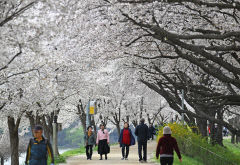 5일 대구경북 오후부터 차차 맑아지고 기온 상승…낮 최고기온 14~20℃