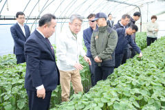 강호동 농협중앙회장, 대구 농업 피해복구 총력지원