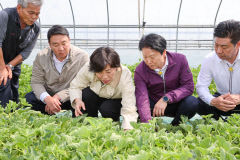 송미령 농림축산식품부 장관, 성주군 참외재배농가 방문 작황 점검