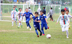 경주서 '화랑대기 U-10·U-9 축구 페스티벌'…전국 102개 팀 참가