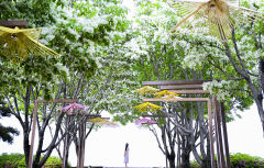 27일 대구경북은 대체로 맑아…낮 최고기온 22~31℃