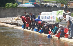 봉화군, 어족자원 보존과 은어축제를 위해 은어 치어 6만미 방류