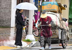 [포토뉴스] 빗물 먹은 폐지…더 힘겨운 '삶의 무게'