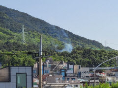 대구 남구 대명동 산불발생... 진화완료