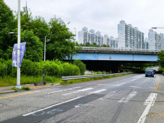 18세 여고생 덮친 횡단보도 비극…