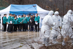 '아프리카돼지 열병 막아라' 경북도, 연중 가축방역상황실 운영