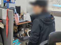 동물권단체 카라 노조 