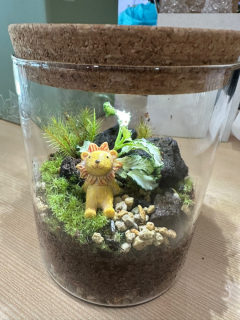 자연을 담은 유리병 정원...초보자도 쉽게 따라하는 테라리움 DIY