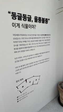 식집사들의 열광! '넌 어느 별에서 왔니?' 아프리카 식물 전시 화제