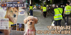 ['댕'겨왔습니다] 순찰로 치안 활동하고 1인 가구도 잇는 반려견 순찰대