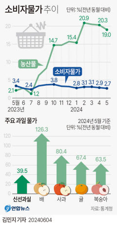다음 주에 외국인 관광 활성화 대책·물가 진단 나온다