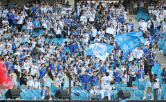 KBO 역대급 흥행 몰이…500만 넘어 1천만 관중 넘본다