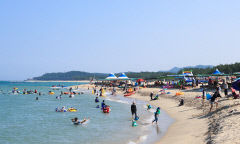[울진 가볼만한 곳] 올여름, 소중한 반려견과 울진 구산해수욕장서 즐겨요