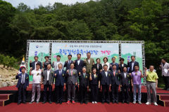 국립 김천숲속야영장 개장