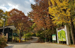 경주 토함산자연휴양림, 반려동물 동반 전용 객실 운영