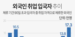작년, 외국인 취업 늘었다…17만 3천 명으로 '역대 2위'